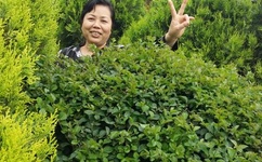 韩国女主播百度影音